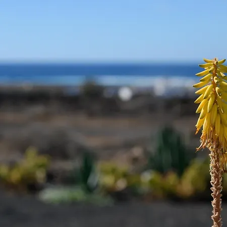 Casa Sas La Hoya Yaiza (Lanzarote)