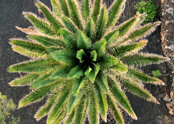 Casa Sas La Hoya 別荘 ヤイサ